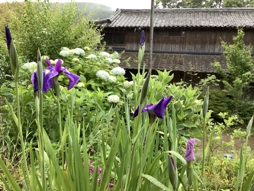 6月の営業日_d0336460_02445352.jpeg