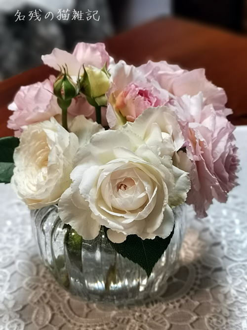 雨の前にバラの花を切りました 束の間の美しさを部屋で愛でます 夜は山菜三昧再びスタートです 名残りの猫雑記