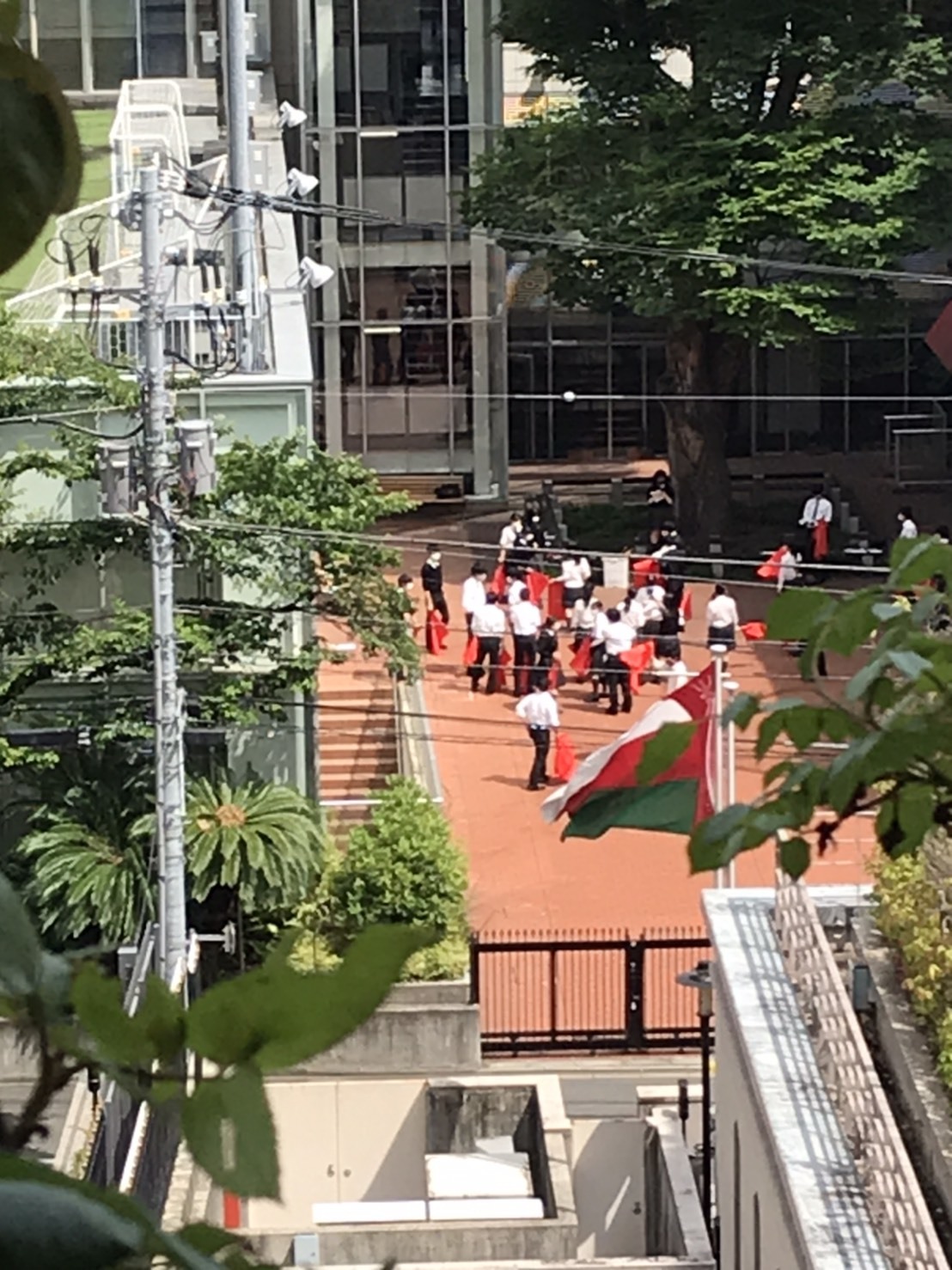 コロナに負けるな♪_d0339889_17423085.jpg