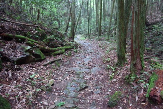 久しぶりの熊山は段谷コースでレッツゴーよ～！の巻_f0325295_14020646.jpg