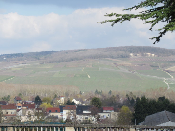 Le Château Comtesse Lafond (2020/3/7)_c0212604_06565181.jpg