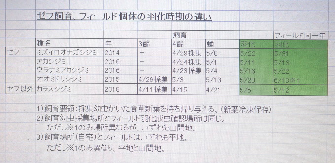 ゼフ飼育、フィールド個体の羽化時期の違い 2021/05/21_d0251807_06293482.jpg