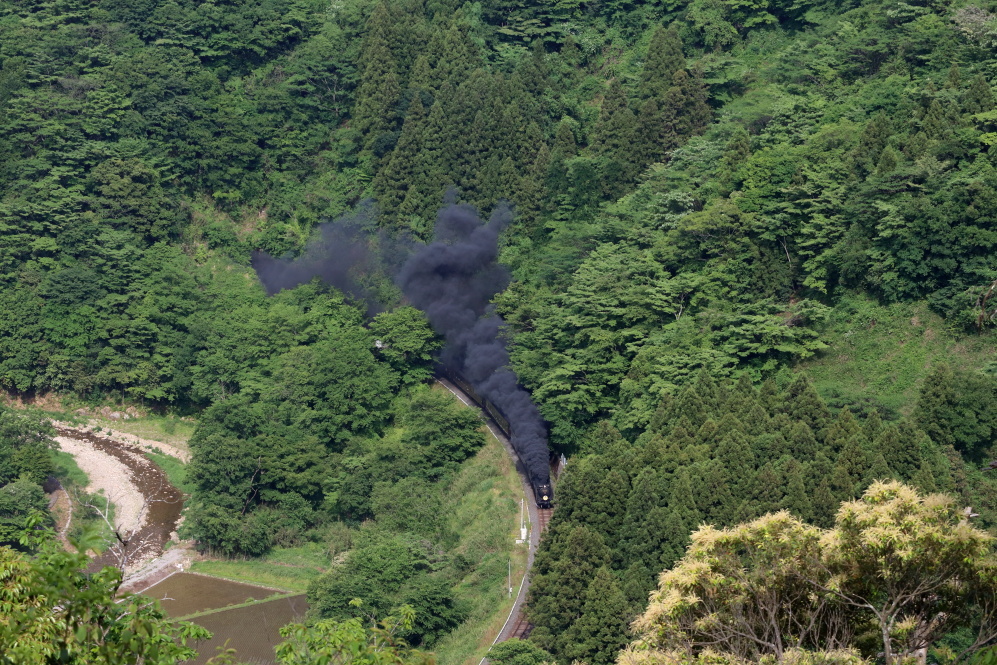 春の緑と煙　- 2019年・山口線 -_b0190710_22134465.jpg