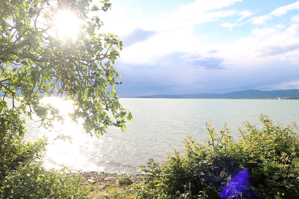 ひなげし咲き夕食おいしいトラジメーノ湖_f0234936_16153137.jpg