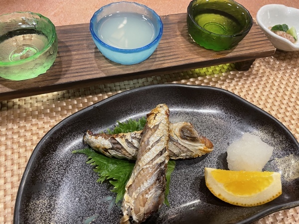 【チャリ旅47第二弾➉:久万高原→高知85キロ】高知まで頑張って走りました 2021.5.20_b0002156_12034989.jpeg