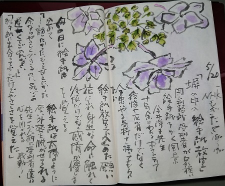 塀の中の絵手紙教室を見て 絵手紙の小窓 塀の中の絵手紙教室を見て 絵手紙の小窓
