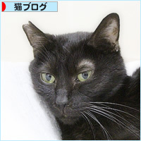 怒り_a0389088_14150139.jpg