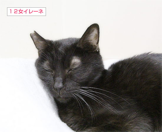 怒り_a0389088_14150190.jpg