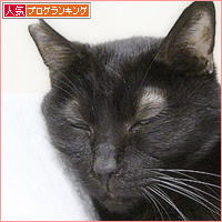 怒り_a0389088_14150294.jpg