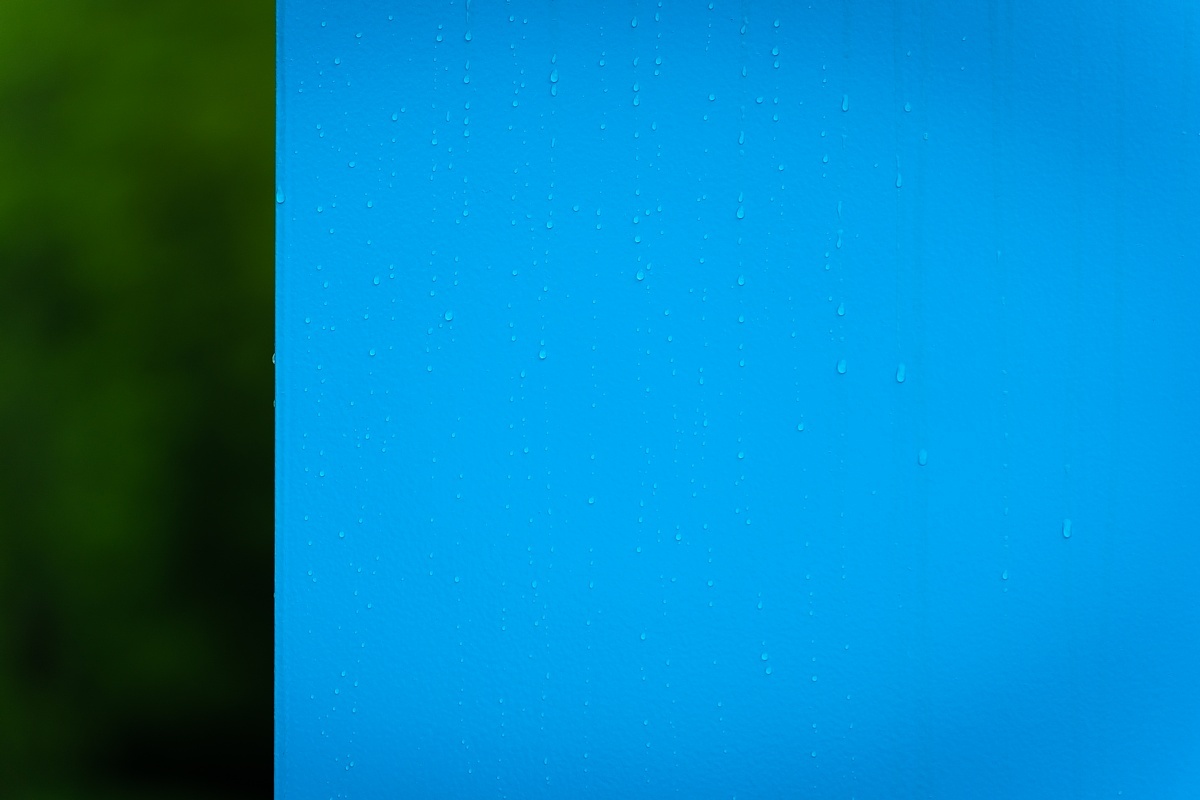雨に濡れる原色_d0353489_20460765.jpg