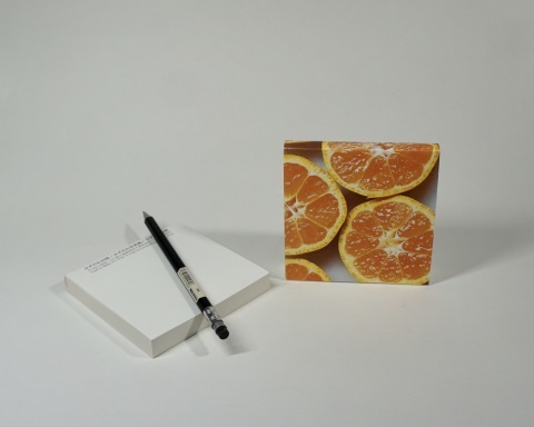 みかん印の白無地ブロックメモ : daily-sumus2