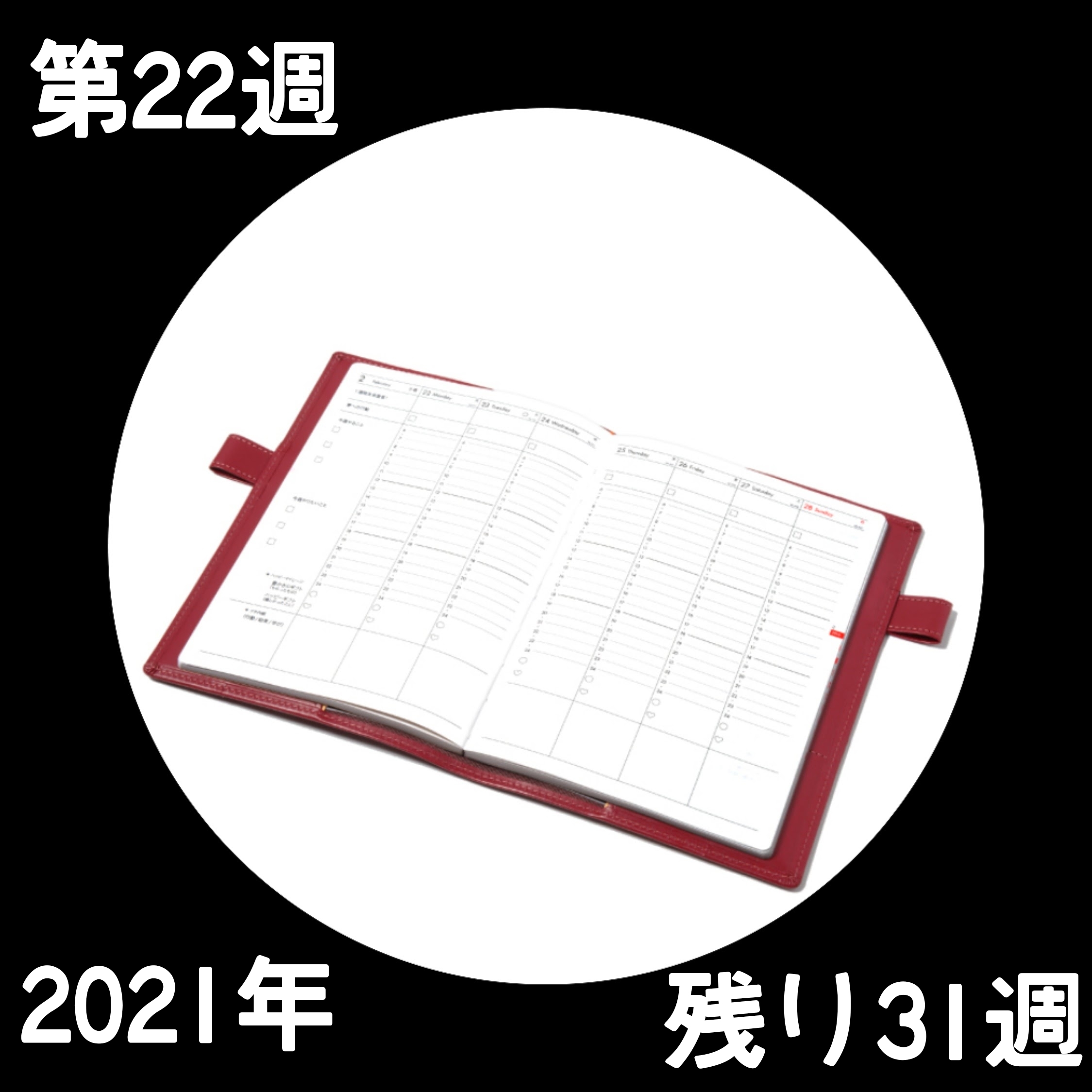 210523 第22週の手帳タイムを取ろう❗_f0164842_22063400.jpg