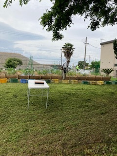 良いお天気でした!_f0079749_19574020.jpg