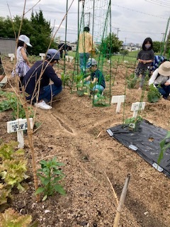 良いお天気でした!_f0079749_20032216.jpg