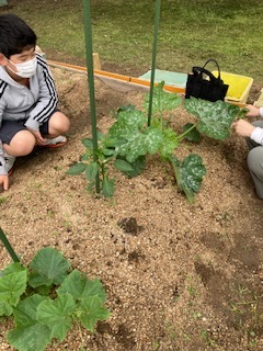 良いお天気でした!_f0079749_20192105.jpg