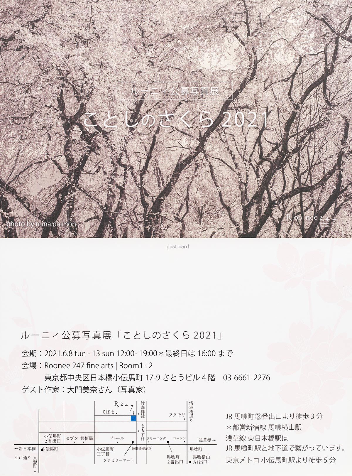 日本橋 Roonee 247 Fine Arts ことしのさくら 展に出展します 節操のない写真館 日本橋 Roonee 247 Fine Arts ことしのさくら 展に出展します 節操のない写真館