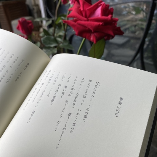 リルケに寄す : 石倉和香子リルケ詩集_c0203401_14163023.jpeg