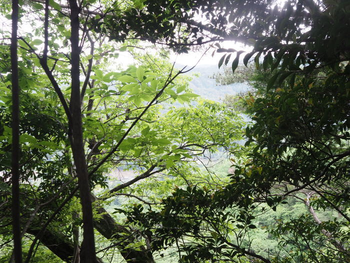 茶臼岩山登山_c0116915_00384727.jpg