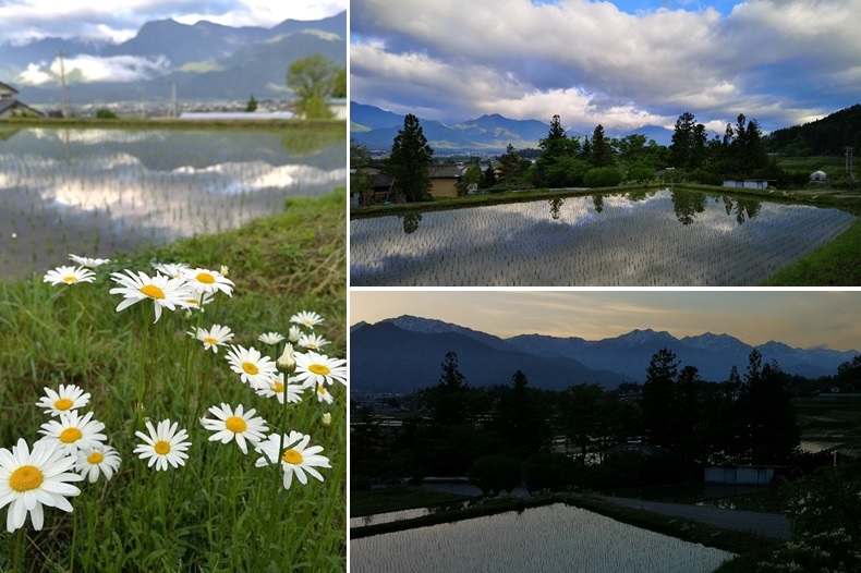 美しい5月_a0212730_18555633.jpg