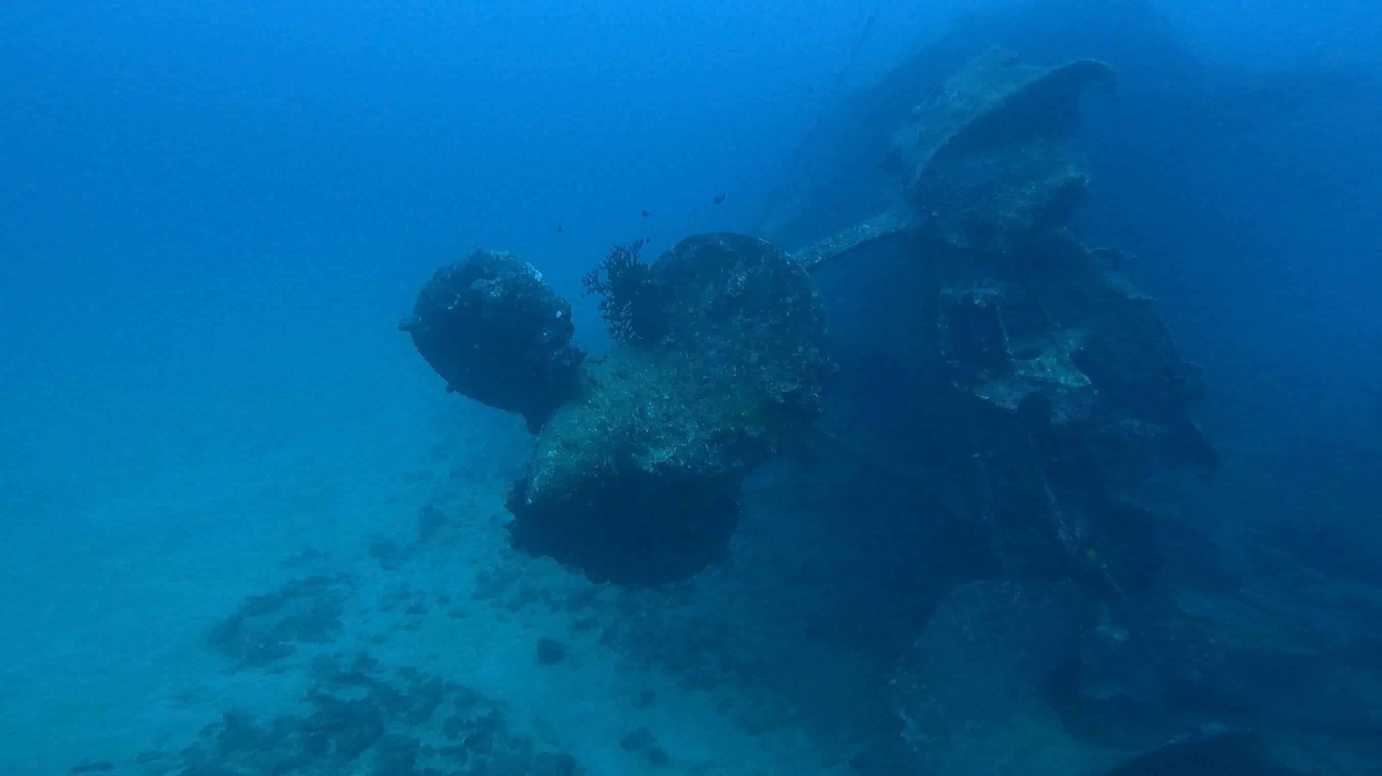 5月22日念願のUSSエモンズ_c0070933_10495745.jpg