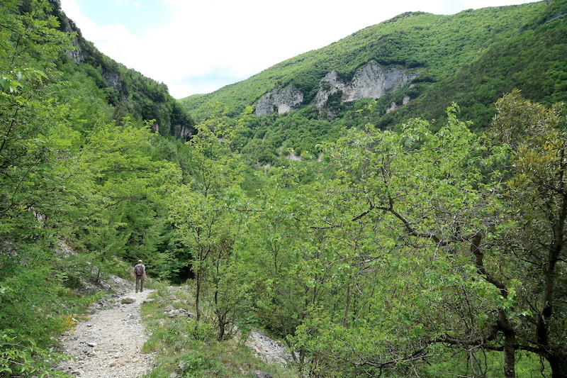清らかな渓流へ花満ちる山を下って、シビッリーニ山脈 フィアストローネ渓谷_f0234936_21463166.jpg