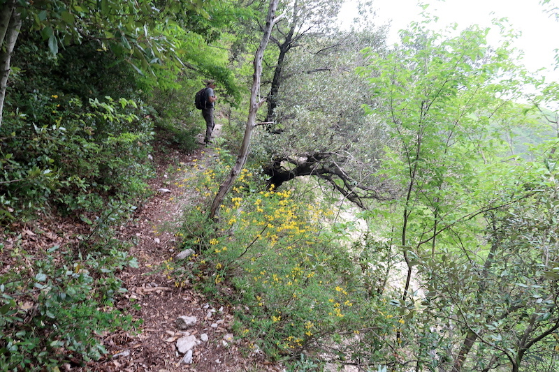 清らかな渓流へ花満ちる山を下って、シビッリーニ山脈 フィアストローネ渓谷_f0234936_21545674.jpg