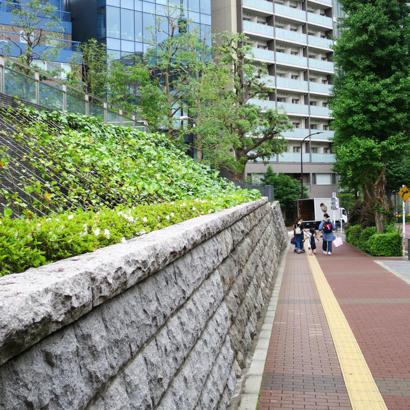 神田で山登り_c0060143_10552525.jpg