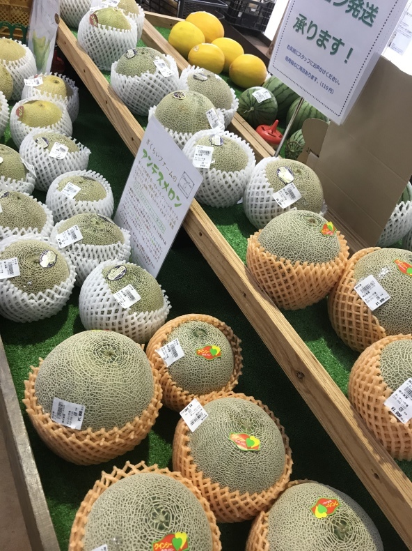 大洗まいわい市場　メロン入荷してます！_a0283448_12462808.jpeg