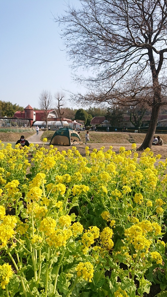 10年前の「あの日」と同じ名古屋にて…_d0039059_15211273.jpg