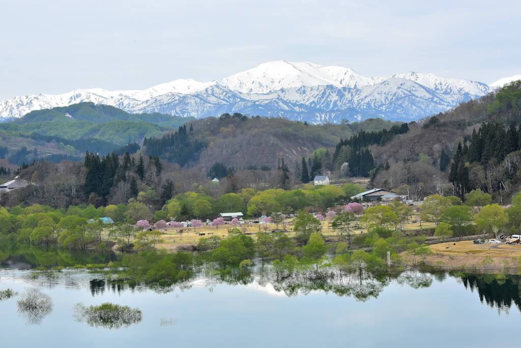 「水没林、またまた横田先輩からの画像」_a0075684_10474250.jpg