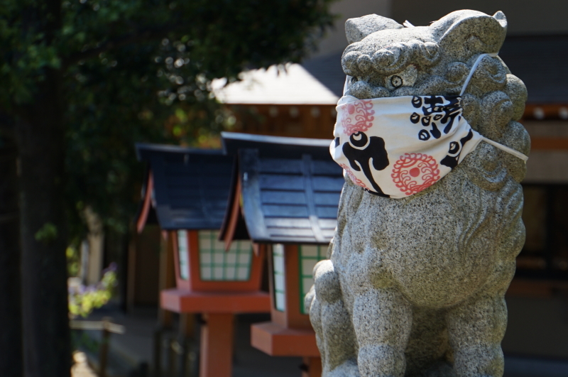 ★近所の神社で”ヤマアジサイ”散歩、横浜／瀬戸神社！_c0168984_20085326.jpg