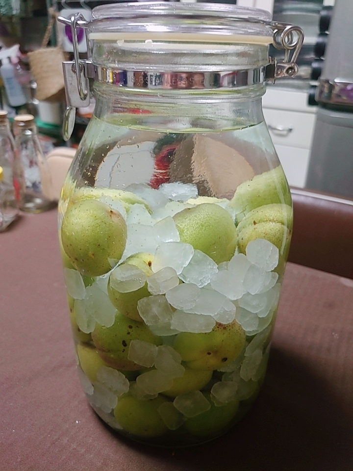 毎年恒例のあちらへ_b0334704_10231008.jpg