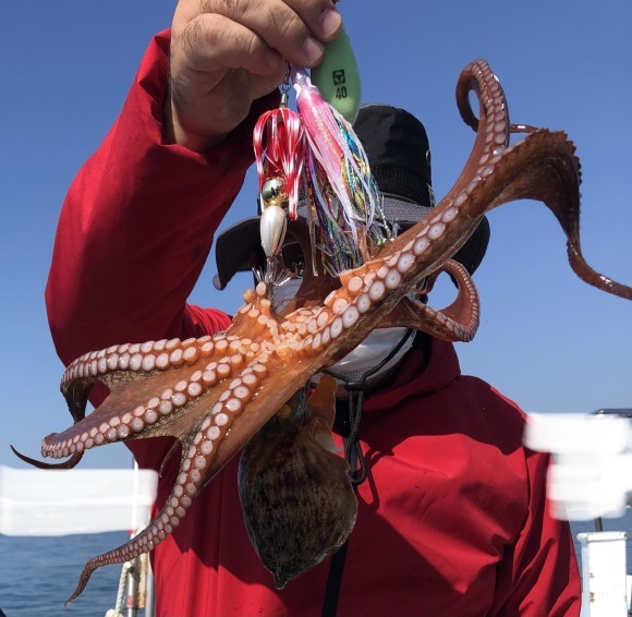 ２３日・日・釣れてます！タコの八ちゃん狙いで遊びに来ておくんなもし！(^O^)_d0155615_04350350.jpeg