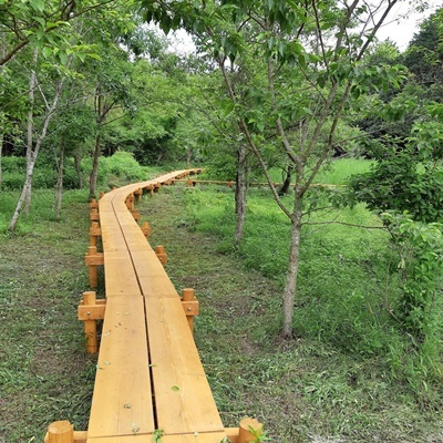 ビオトープ_f0129726_18415964.jpg