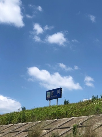片手にピストル 心に花束 片手にピストル 心に花束
