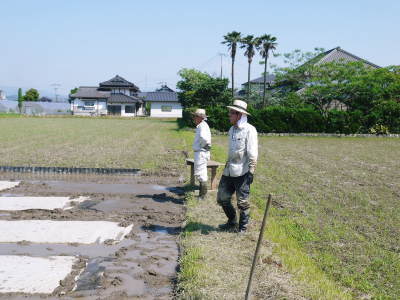 無農薬栽培にこだわる「健康農園」さんの令和3年の米作りスタート！まずは苗床を現地取材！ _a0254656_14482497.jpg
