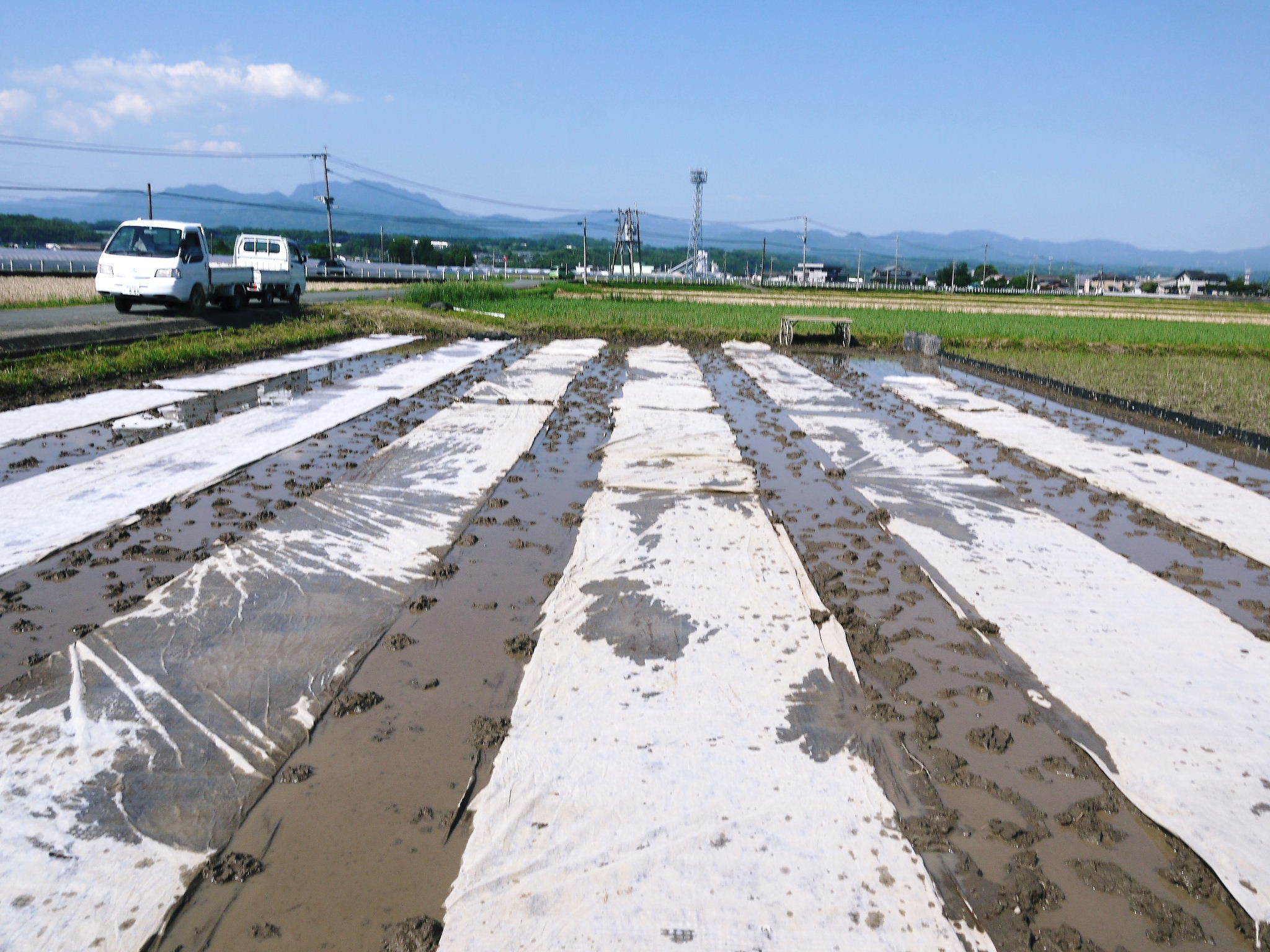 無農薬栽培にこだわる「健康農園」さんの令和3年の米作りスタート!まずは苗床を現地取材! _a0254656_15041638.jpg