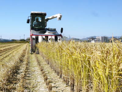 無農薬栽培にこだわる「健康農園」さんの令和3年の米作りスタート！まずは苗床を現地取材！ _a0254656_16184583.jpg