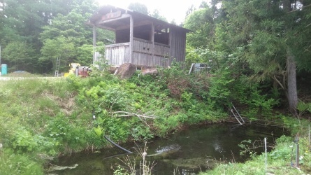 久々に天気の良い一日でした 桧原湖 森と川の声 もうひとつの故郷 森川荘