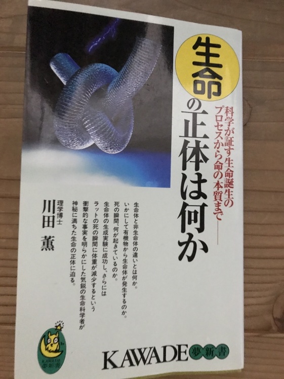 波動に夢中_b0034072_10281751.jpg