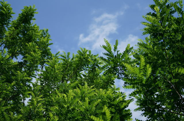 晴天は気持ちいいね!_a0268377_19342491.jpg