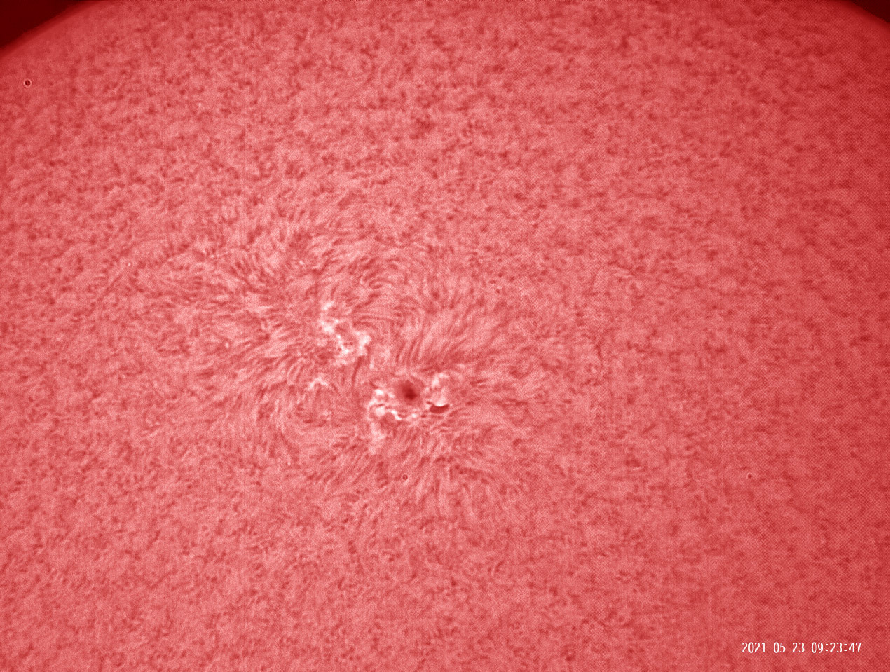 5月23日の太陽_e0174091_16245767.jpg