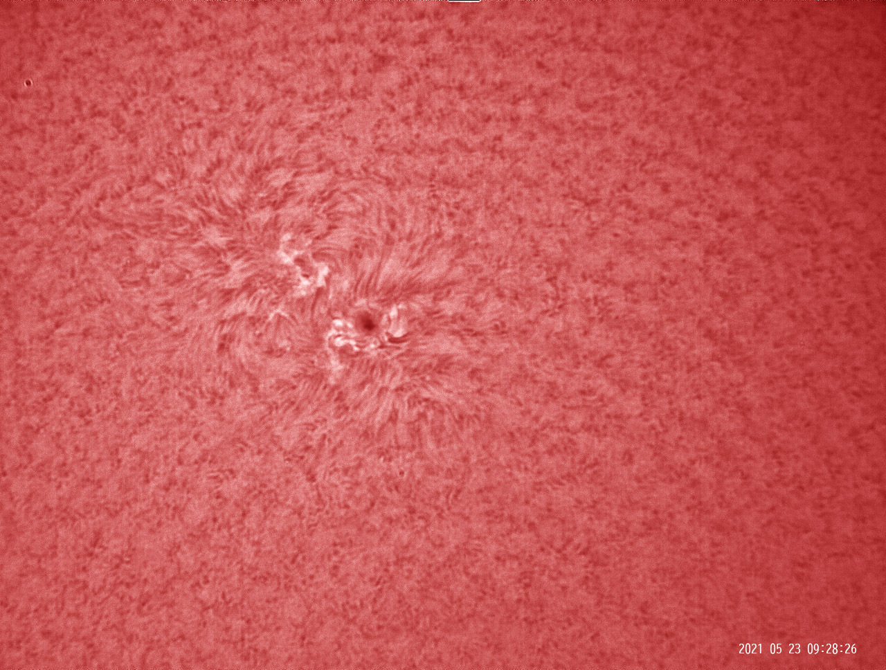5月23日の太陽_e0174091_16250669.jpg