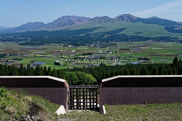 長寿ヶ丘つつじ公園で見かけたモノ_e0135098_01344096.jpg