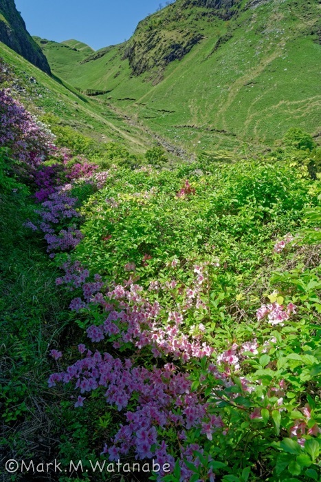 長寿ヶ丘つつじ公園-震災の傷跡_e0135098_01485435.jpg