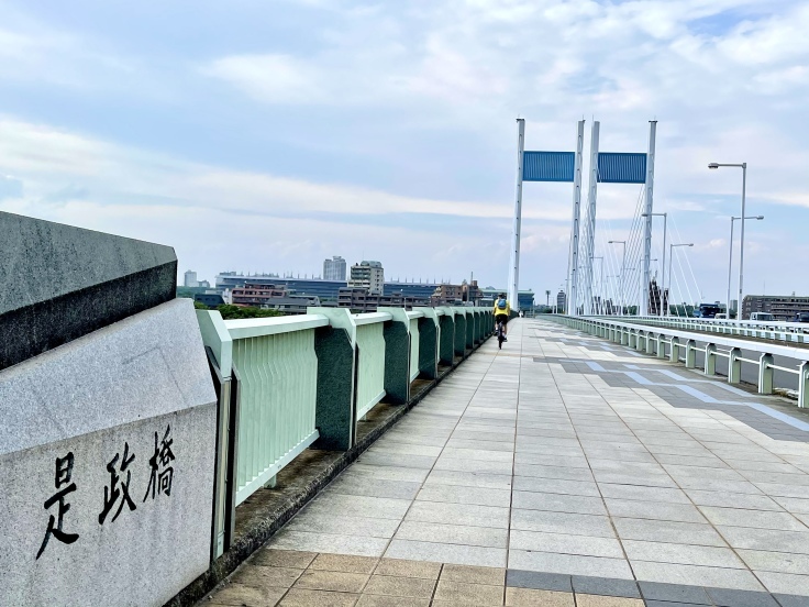 多摩川河川敷で 撮り鉄修行!(東急3000系甲種輸送)_c0212604_22573897.jpeg