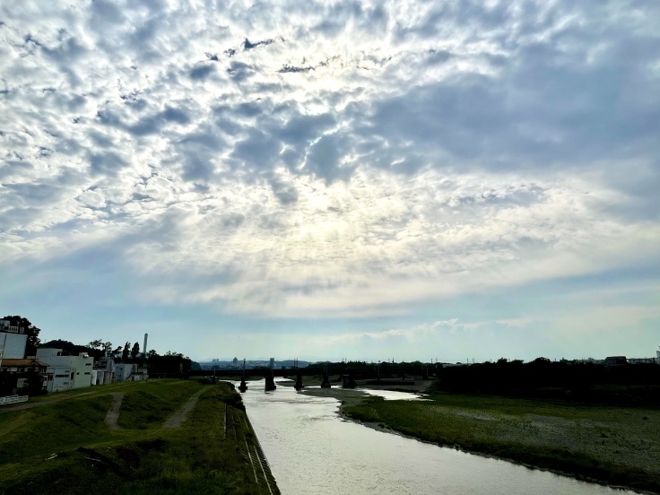 多摩川河川敷で 撮り鉄修行!(東急3000系甲種輸送)_c0212604_23020541.jpeg