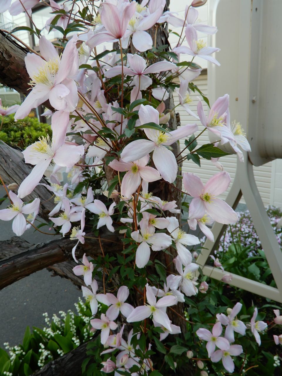 通り雨_c0025115_21281797.jpg