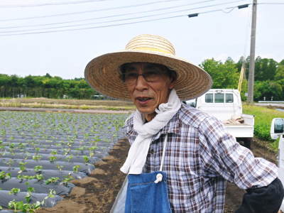大人気の熟成サツマイモ『紅はるか』いよいよ残りわずか!定数になり次第完売です!ご注文はお急ぎ下さい!_a0254656_17534388.jpg