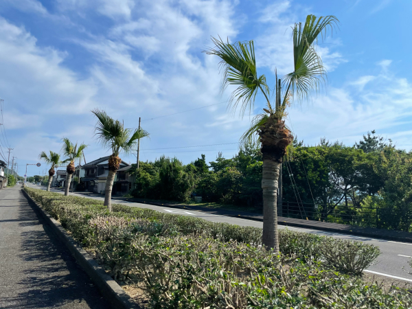 【チャリ旅47第二弾⑫:高知→室戸76キロ】高知をさらに南下!室戸岬へGO! 2021.5.22_b0002156_08050087.jpg